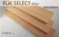 buk_select_lity_900_300_33.jpg