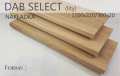 dab_select_nakladka_lity_1100_320_20.jpg