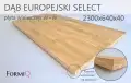 dab_europejski.png
