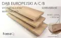 DĄB_EUR_ACA_OPIS.jpg