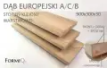 DĄB_EUR_ACA_OPIS (2).png