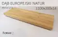 dab_europejski_natur_1100.png