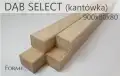DAB_SELECT_kantówka.png