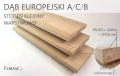 DĄB_EUR_ACA_OPIS.png