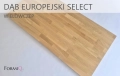 dab_eur sel wlp 600.png